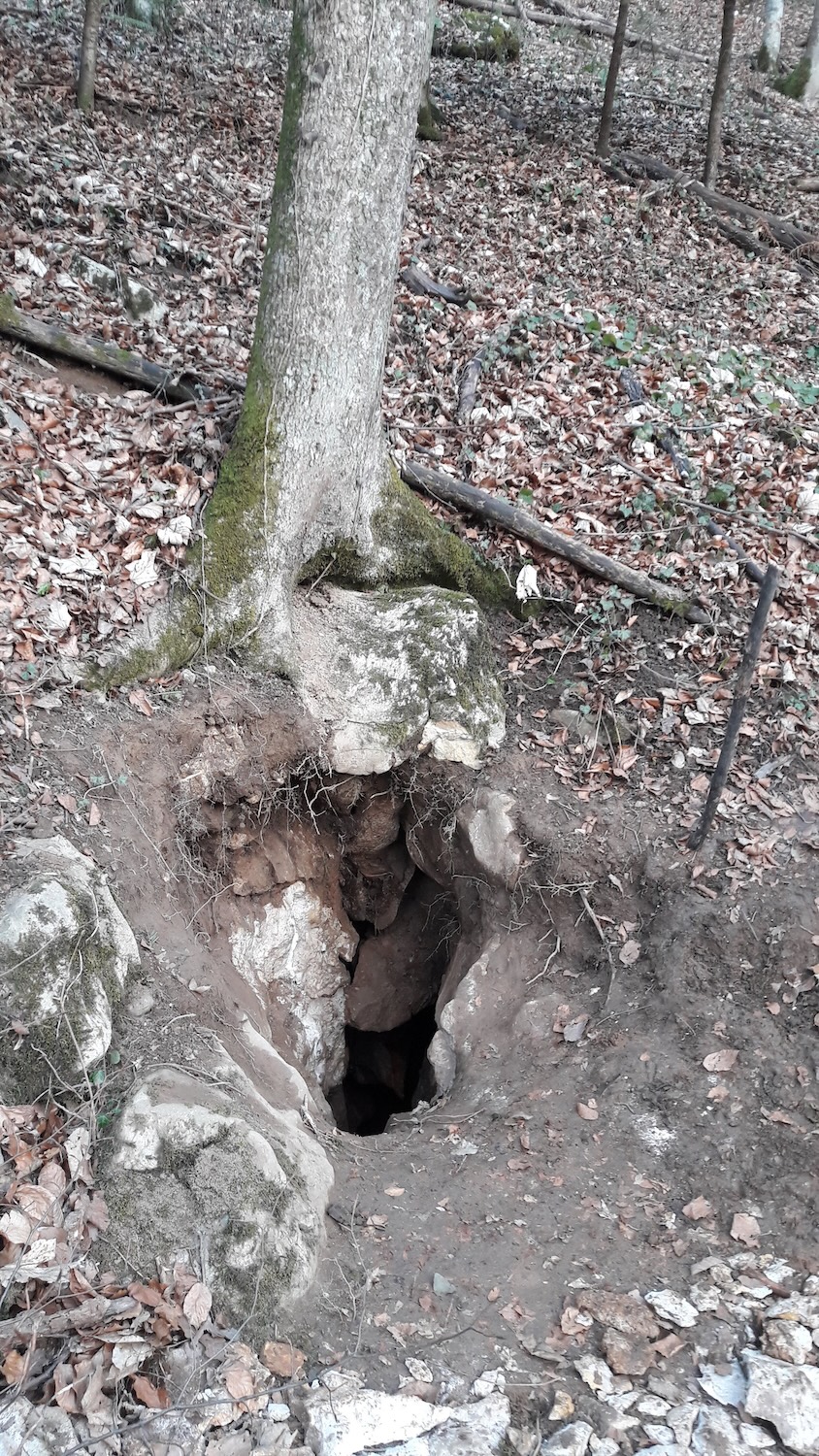 Avenul cu Trepți - Image 1